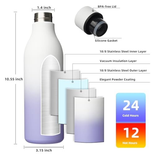 25oz Insulated Water Bottle