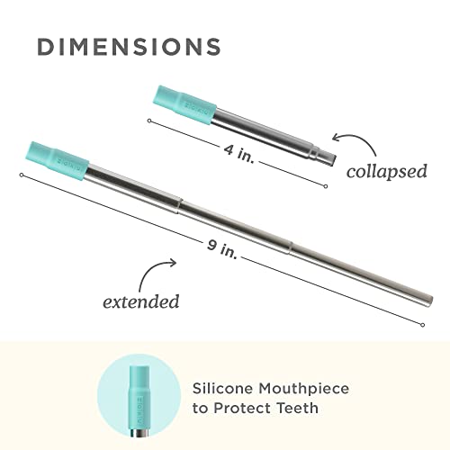 Reusable Metal Straw with Case