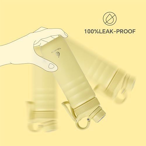24oz Stainless Insulated Bottle with 2 Leak