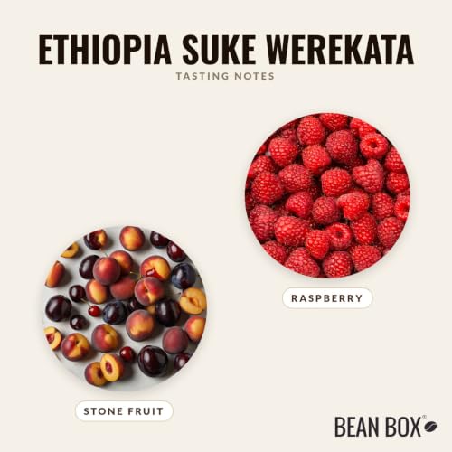 Ethiopia Suke Werekata (12 Ounce (Pack of 1))