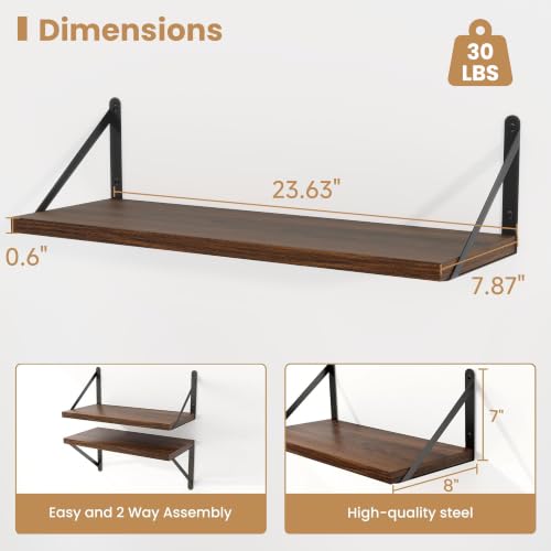 Floating Book Shelves for Wall (3 Count)