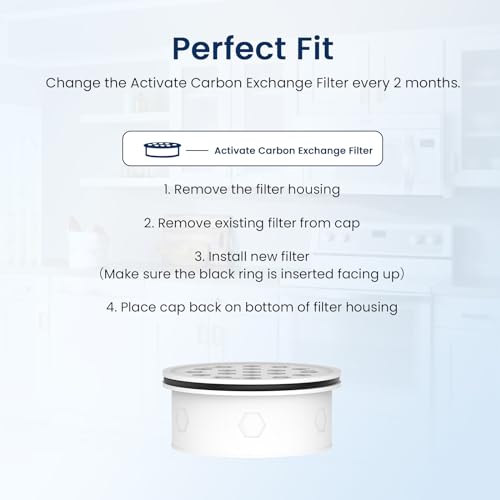 Water Filter Compatible with LifeStraw Pitcher (3 Count)