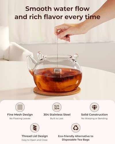 2 Pack Reinmoson 304 Stainless Steel Tea Infuser for Loose Leaf Tea (2 Count)