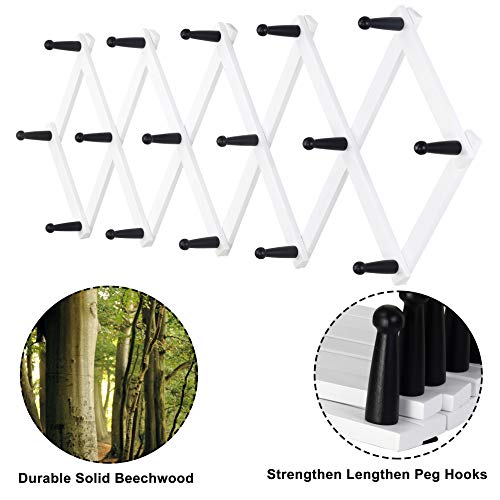 Accordian Wall Hanger