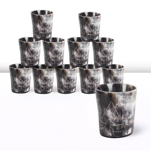 Viking Horn Shot Glasses Set of 12 (12 Count)