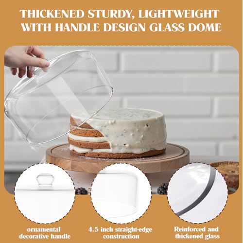 11 Inch Glass Cake Dome Cover
