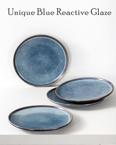 11 Inch Ceramic Dinner Plates Set of 4 (4 Count)