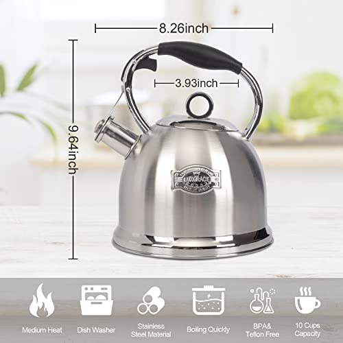 Tea Kettle for Stovetop