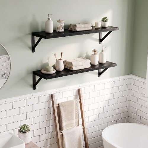 Wall Mounted Floating Shelves Set of 2 (2 Count)
