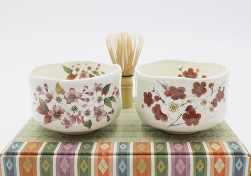 Japanese Traditional Handcrafted Matcha Chawan Tea Bowl Cup Set of 5 Ceremony Tableware Pottery