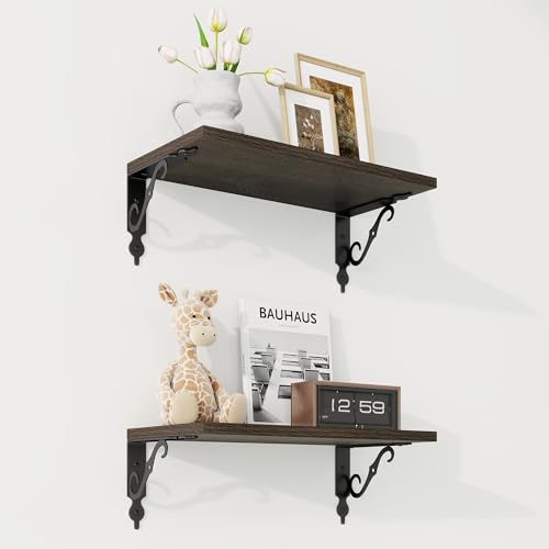 Floating Shelves for Wall Decor (2 Count)