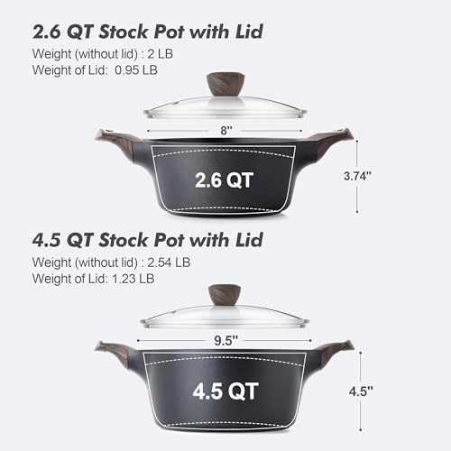 Nonstick Stock Pot with Lid