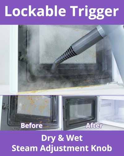 Steam Cleaner Handheld