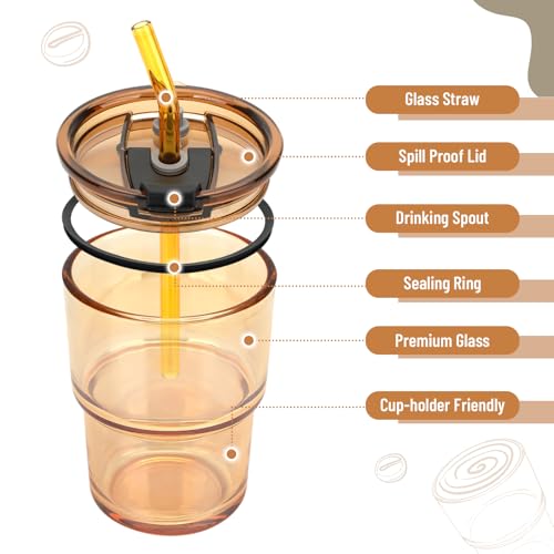 13 oz Glass Tumbler with Glass Straw and Lid (2 Count)