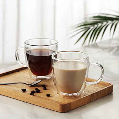 Large Double Wall Glass Coffee Mug 17 oz