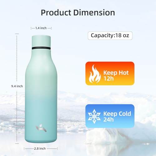 18 oz Insulated Stainless Steel Metal Water Bottle with Strap