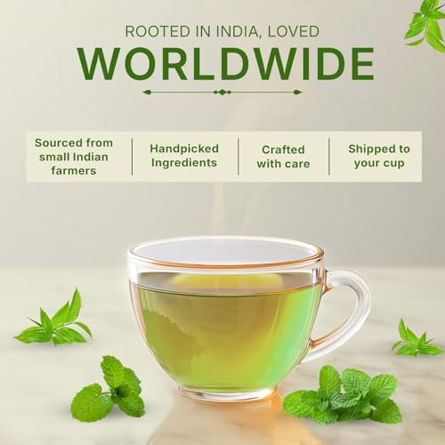 Tealeaf & Co. Mint Green Tea Bags Blended with Fresh Herbs (50 Count)