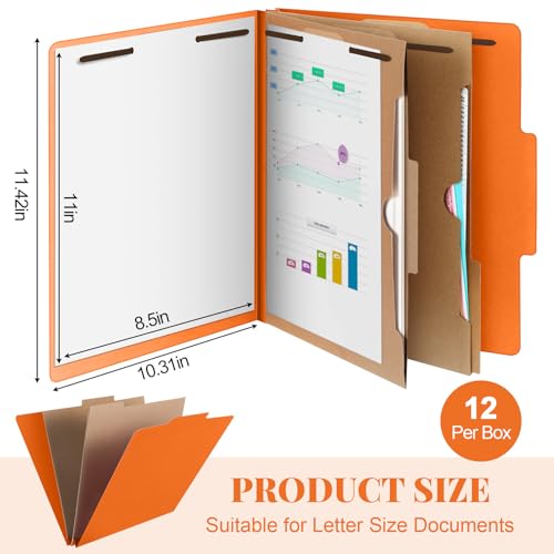 12 Pcs Skyygemm Classification Folder Letter Size (12 Count)