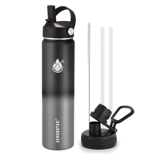 Insulated Water Bottle 24 oz with Straw