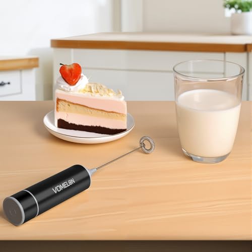 Milk Frother Handheld
