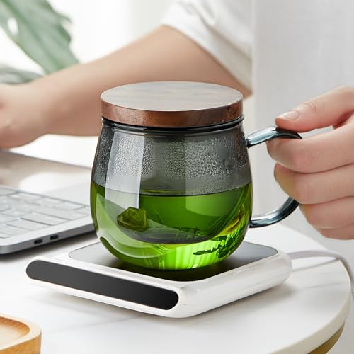 17 OZ Glass Tea Cup with Infuser and Lid (17 Fl Oz)