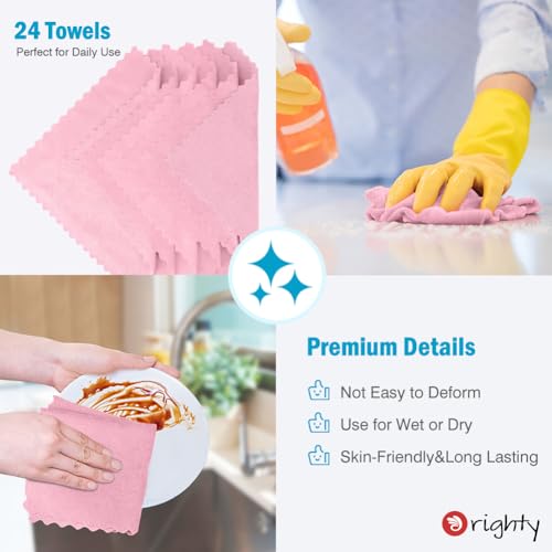 Microfiber Cleaning Cloth (24 Count)