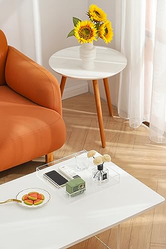 Clear Sturdy Acrylic Serving Tray with Handles