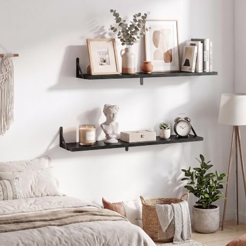 Wall Mounted Floating Shelves Set of 2 (2 Count)
