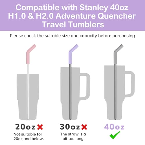 6PCS Stainless Steel Straws with Silicone Tip Fit for Stanley Cup (6 Count)