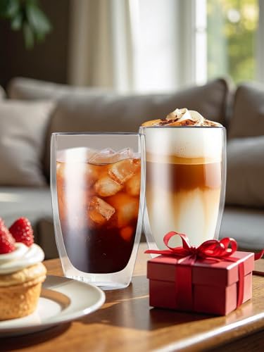 17oz Double Wall Glass Coffee Mugs