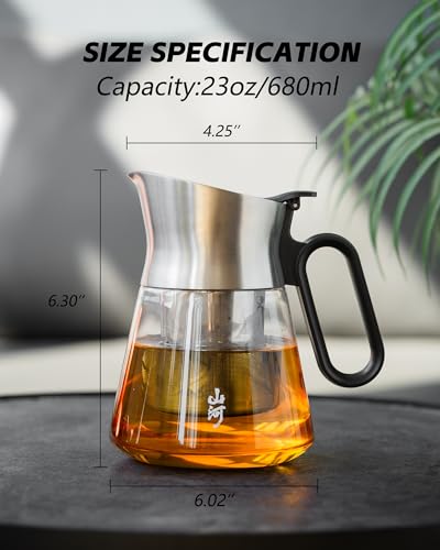 23oz Small Glass Teapot with Infuser For Loose Leaf Tea Steeper