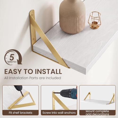 Wall Mounted Floating Shelves Set of 2 (2 Count)