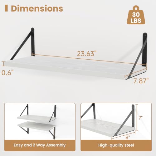 Floating Book Shelves for Wall (3 Count)