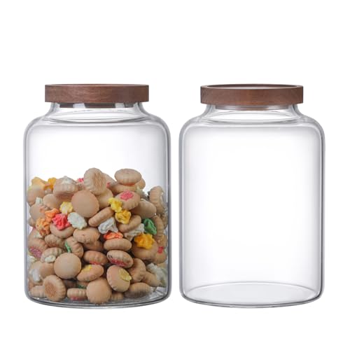 Large Glass Jar with Lid Set of 2