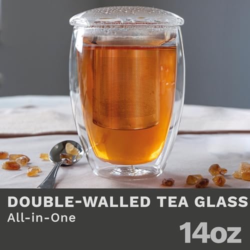 Double Walled Tea Glass with Stainless Steel Filter and Glass Lid