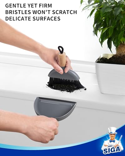 Mini Dustpan and Brush Set