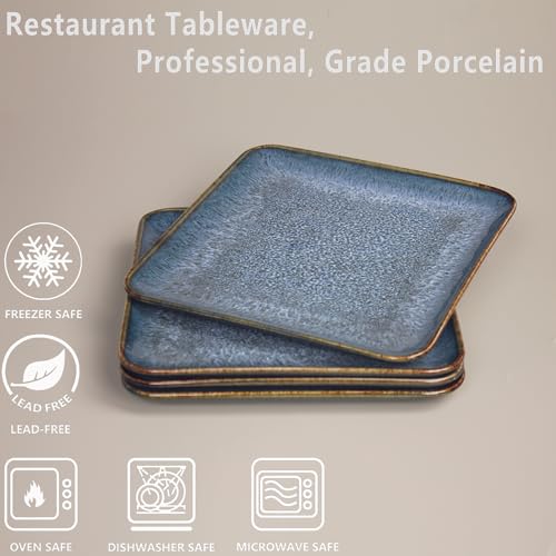 Porcelain Dinner Plates set dessert salad dish Set of 4 (4 Count)