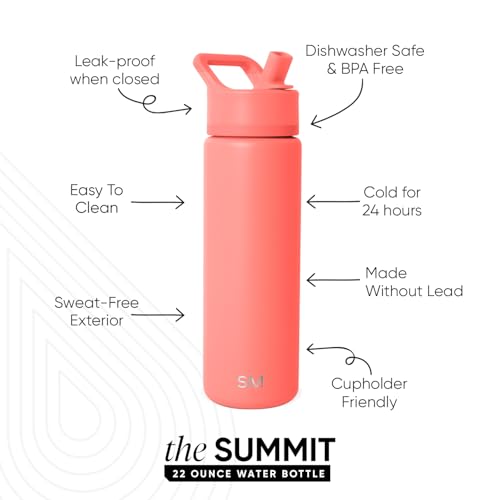 Insulated Water Bottle with Straw