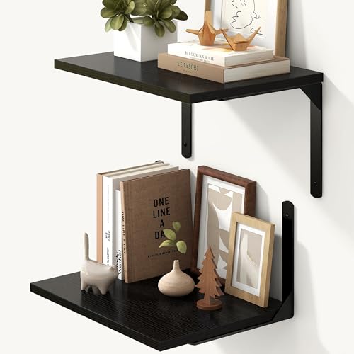 Floating Shelves for Wall (2 Count)