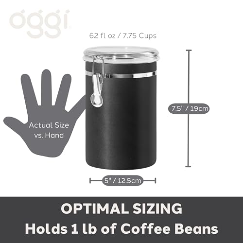 Stainless Steel Kitchen Canister 62 fl oz