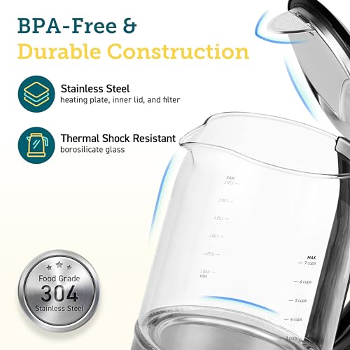 Electric Kettle with Temperature Control