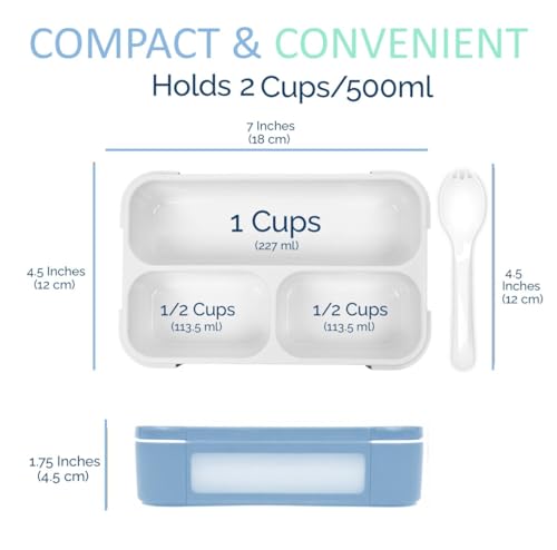 Small Snack Box Containers for Kids (2 Count)