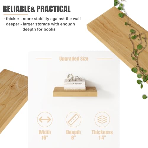 Floating Shelves for Wall (2 Count)