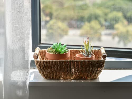 Hand Woven Small Wicker Baskets (2 Count)