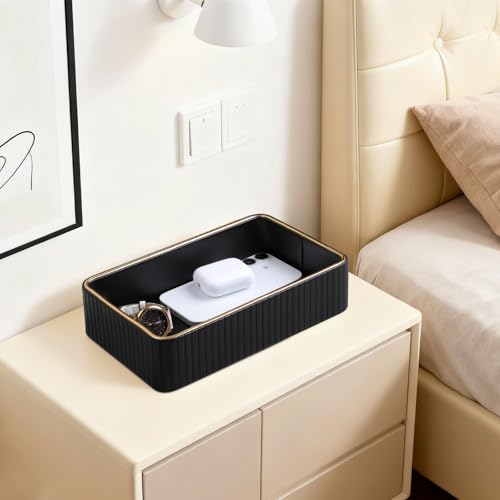 Desk Organizer Tray