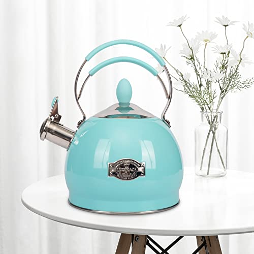 Whistling Tea Kettle Stainless Steel Teapot