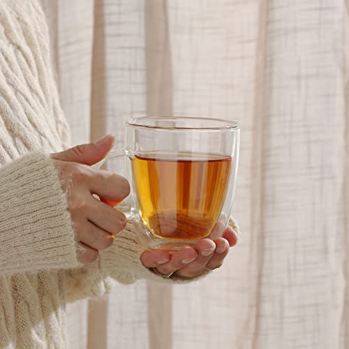 Double Wall Glass Coffee Mugs 12 oz (2 Count)