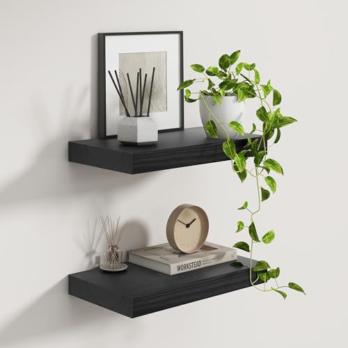 9 Inch Deep Black Floating Shelves (2 Count)