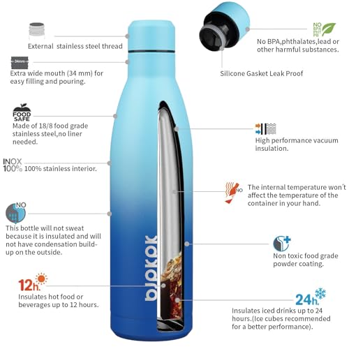 25 oz Insulated Stainless Steel Water Bottle