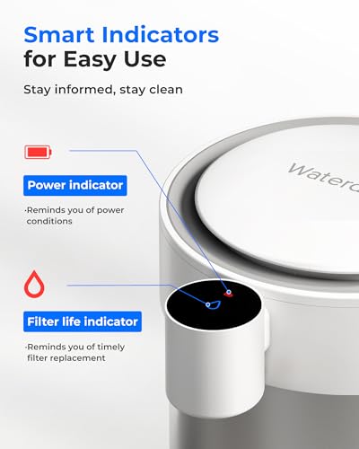ED21W Rechargeable Non